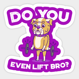 Enligsh Bulldog- Do you even lift bro? Sticker